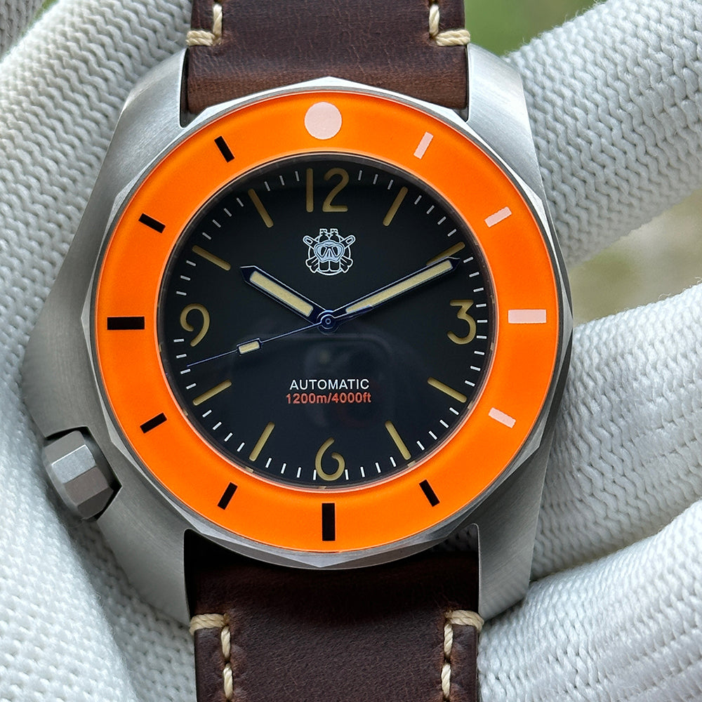 STEELDIVE SD2211 dial close-up on a dark brown leather strap