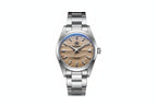 ADDIESDIVE AD2030 36MM Deepseahunter dive watch with sand wave dial and steel bracelet, lifestyle shot with desert dune