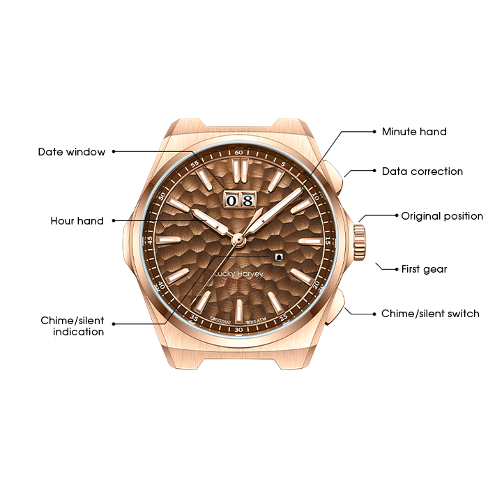 Lucky Harvey ZLS402-3 dial diagram with feature callouts including big date and chime switch