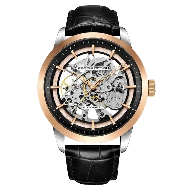 PAGANI DESIGN PD-1638 Skeleton Leather Men's Mechanical Watches-PrimeTimepiece