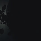 Agelocer watch video