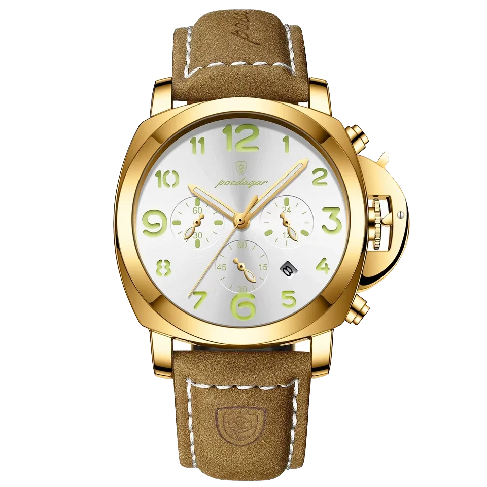POEDAGAR Luxury Men's Quartz Watch, Waterproof, Luminous Date, Leather Band, 859-PrimeTimepiece