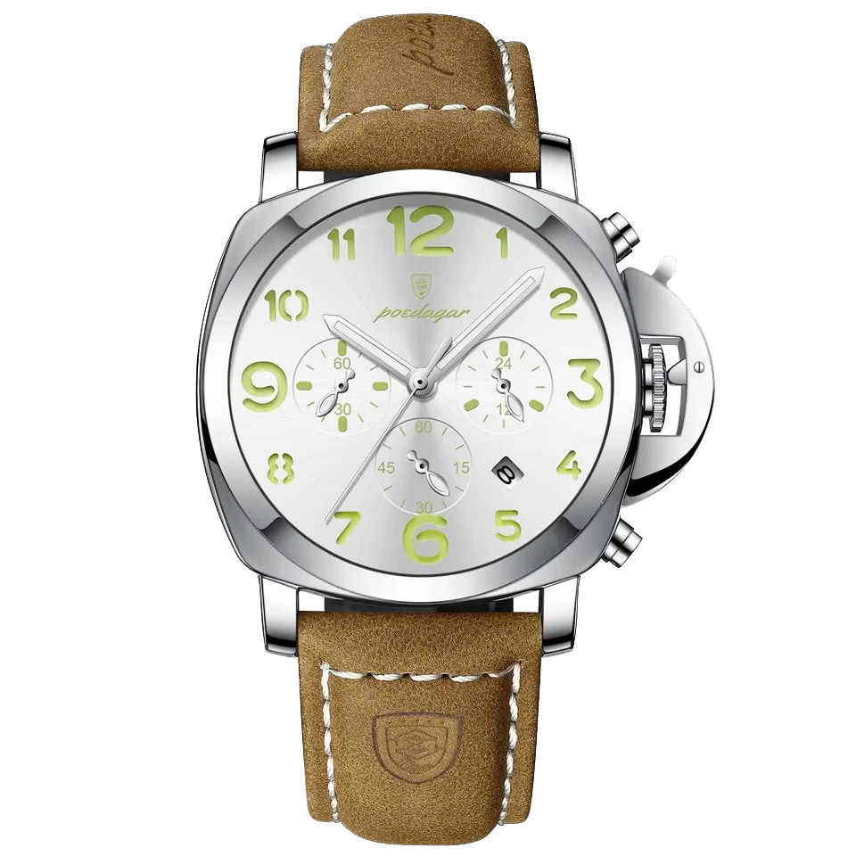 POEDAGAR Luxury Men's Quartz Watch, Waterproof, Luminous Date, Leather Band, 859-PrimeTimepiece