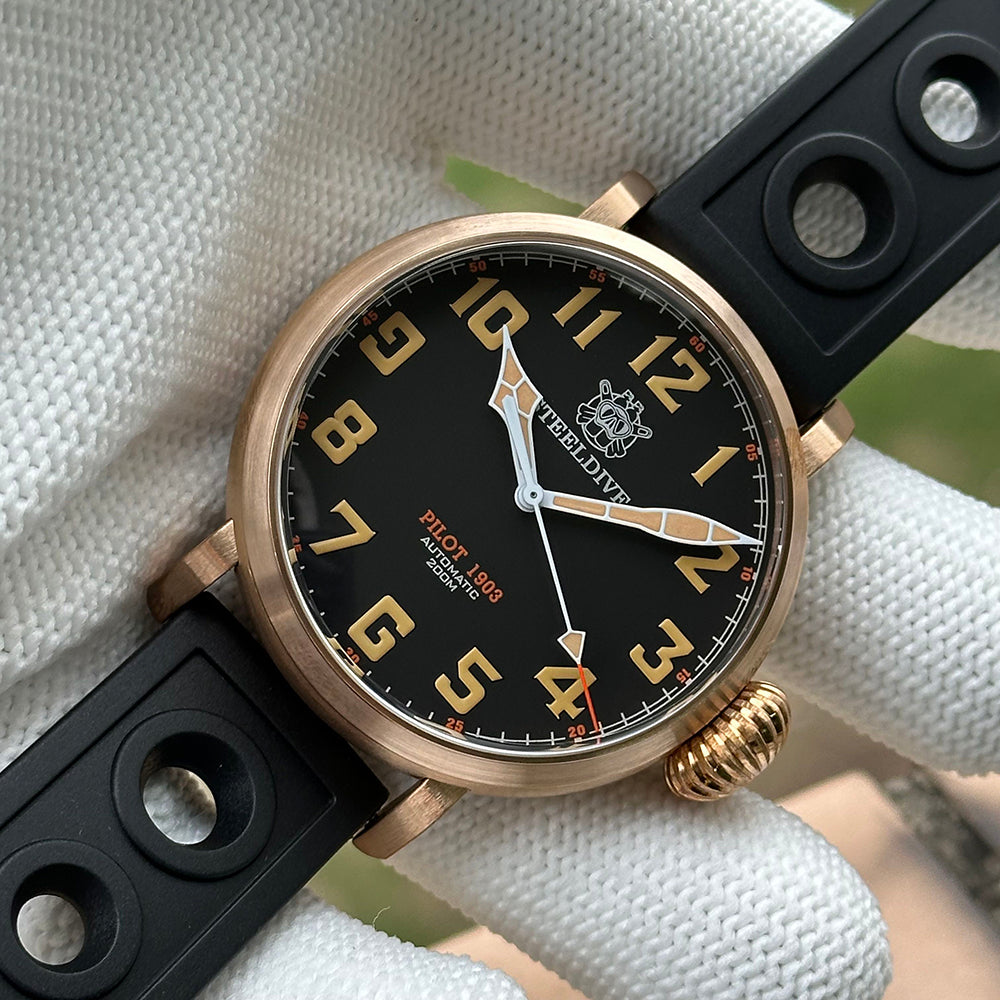 STEELDIVE SD1903S dive watch — variant 03S-FG-HR stock photo