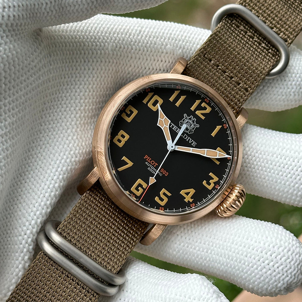 STEELDIVE SD1903S dive watch — variant 03S-FG-KN stock photo