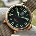 STEELDIVE SD1903S dive watch — variant 03S-GR-KN stock photo