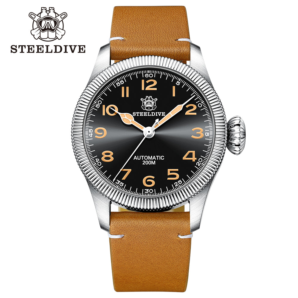 STEELDIVE SD1906 dive watch — variant 06HH-FM stock photo