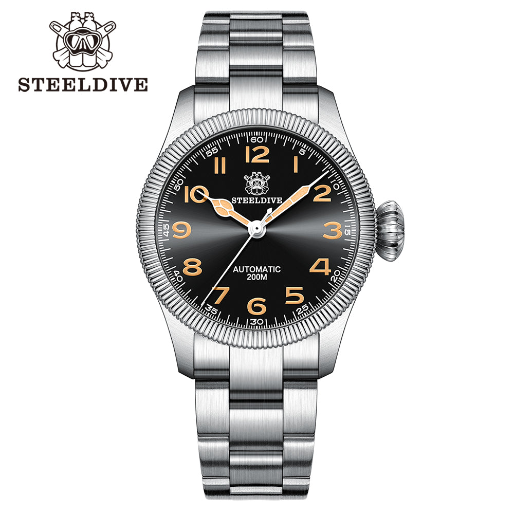 STEELDIVE SD1906 dive watch — variant 06HH-SS stock photo