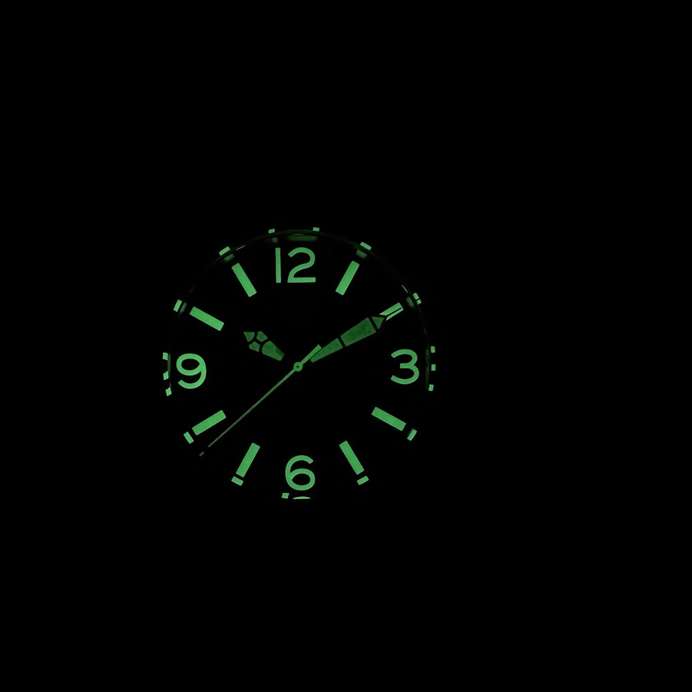 Steeldive SD1912 dive watch lume shot showing bright green BGW9 glow on indices, numerals and hands in darkness
