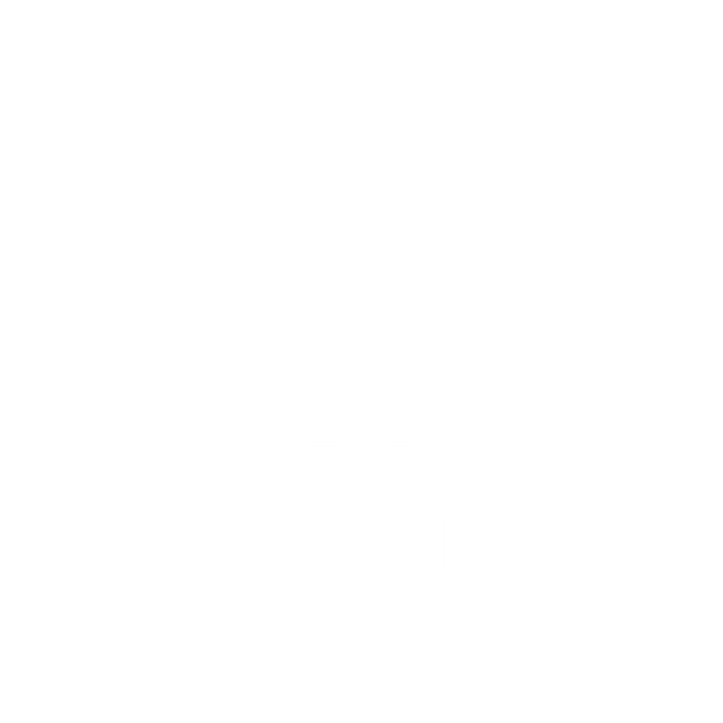 STEELDIVE SD1928A dive watch — photo 19