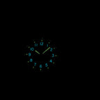 STEELDIVE SD1928H dive watch — photo 5