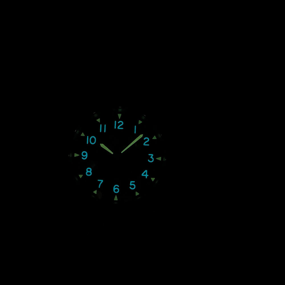 STEELDIVE SD1928H dive watch — photo 5