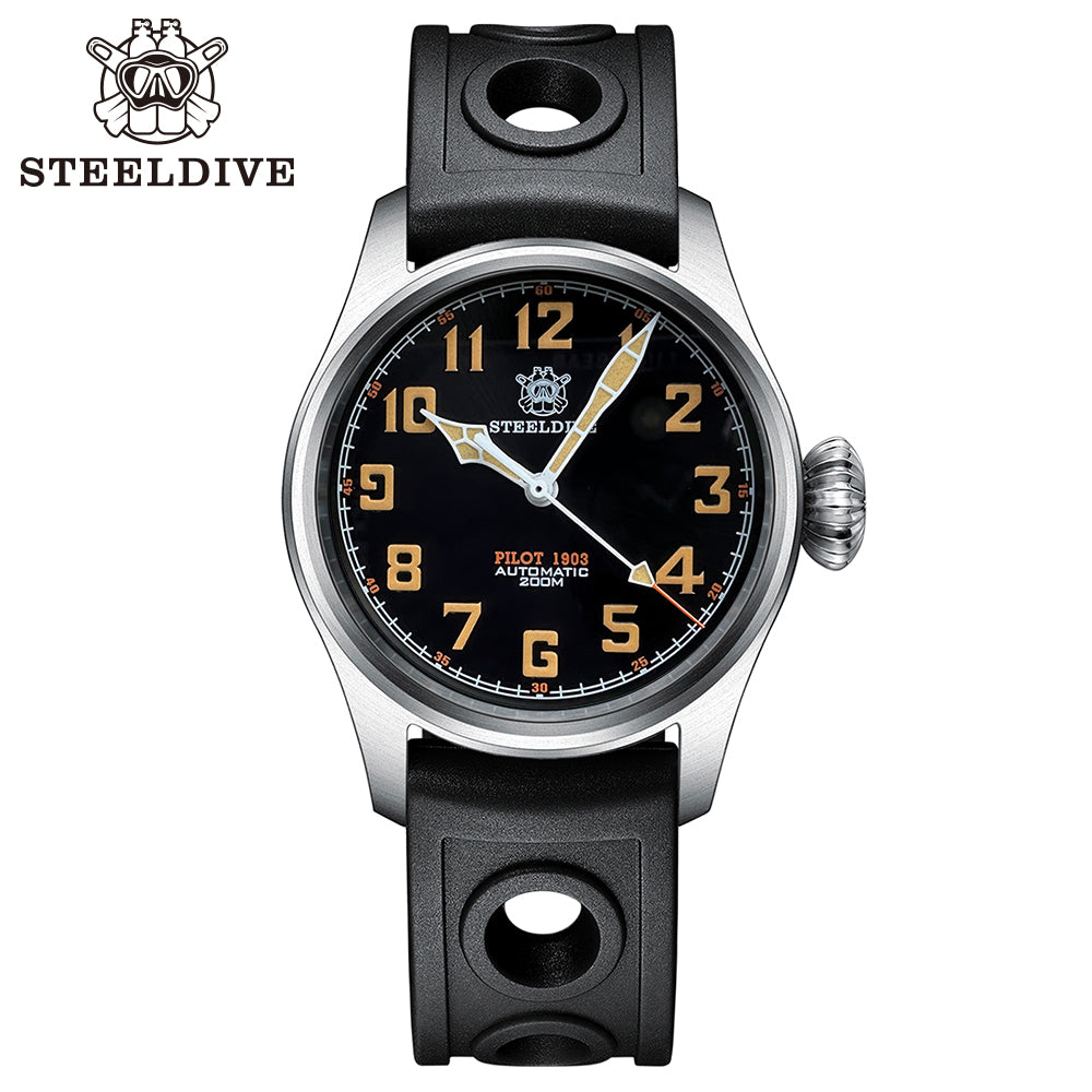 STEELDIVE SD1928V dive watch — variant 28V-FG-BY-HR stock photo