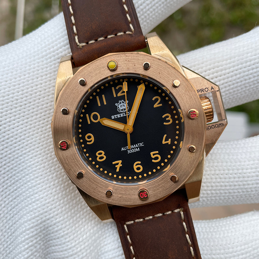 STEELDIVE SD1945S dive watch — variant 45S-ZL stock photo