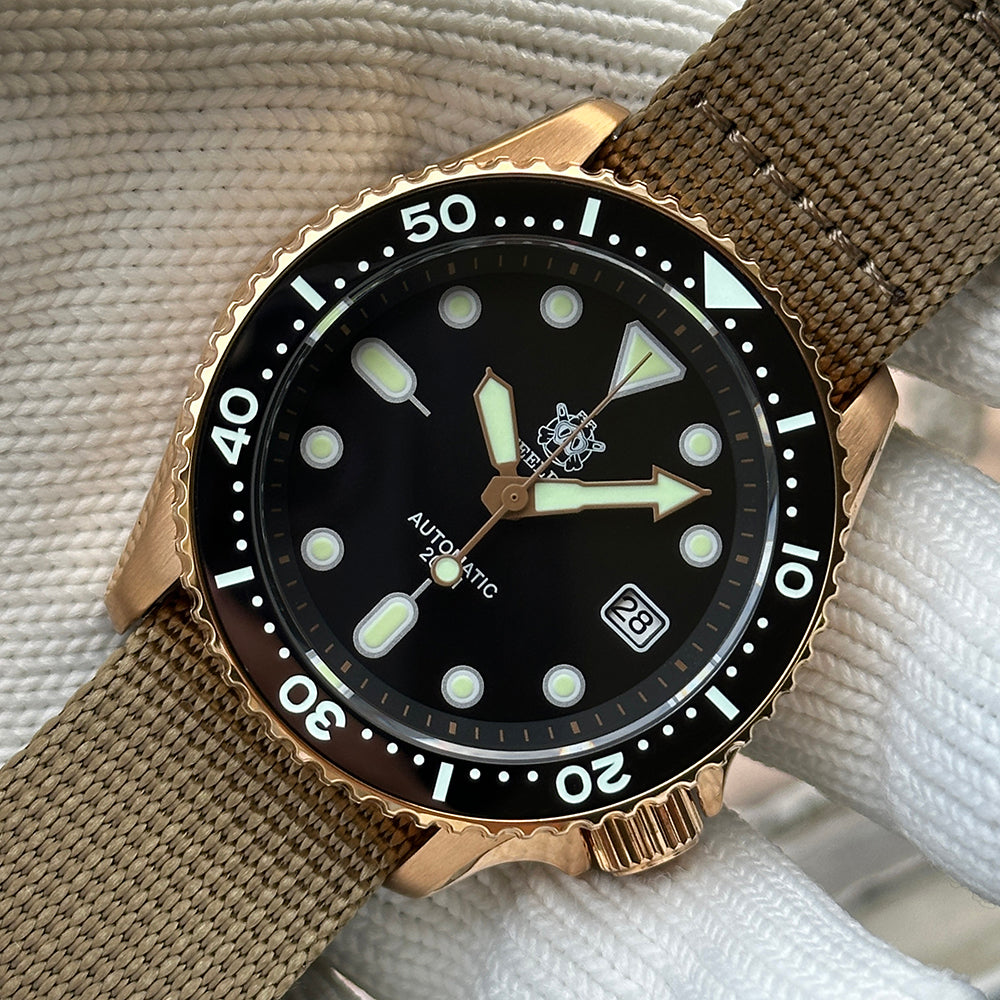 STEELDIVE SD1973S dive watch — variant 73S-C-KN stock photo