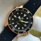 STEELDIVE SD1973S dive watch — variant 73S-C-SWF stock photo