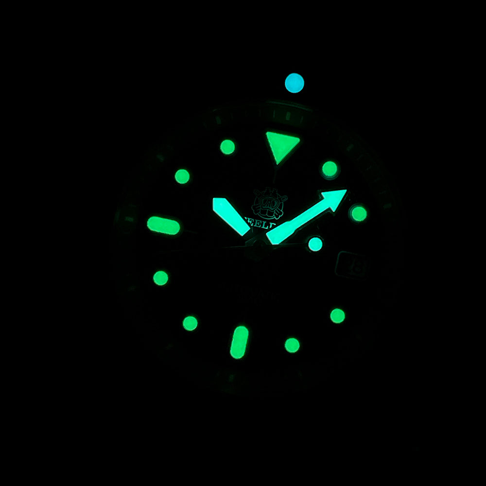 STEELDIVE SD1973S dive watch — photo 3