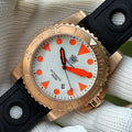 STEELDIVE SD1987S dive watch — variant 87S-WT-HR stock photo